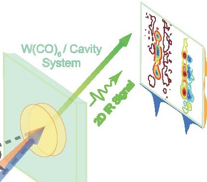 Chemists Work ‘In Between’ Light, Matter and Imaginary Cat to Improve Technology