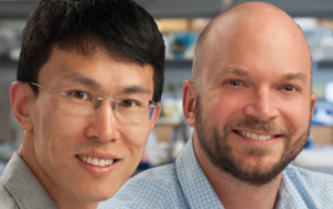 Two UC San Diego Biologists Named Pew Scholars