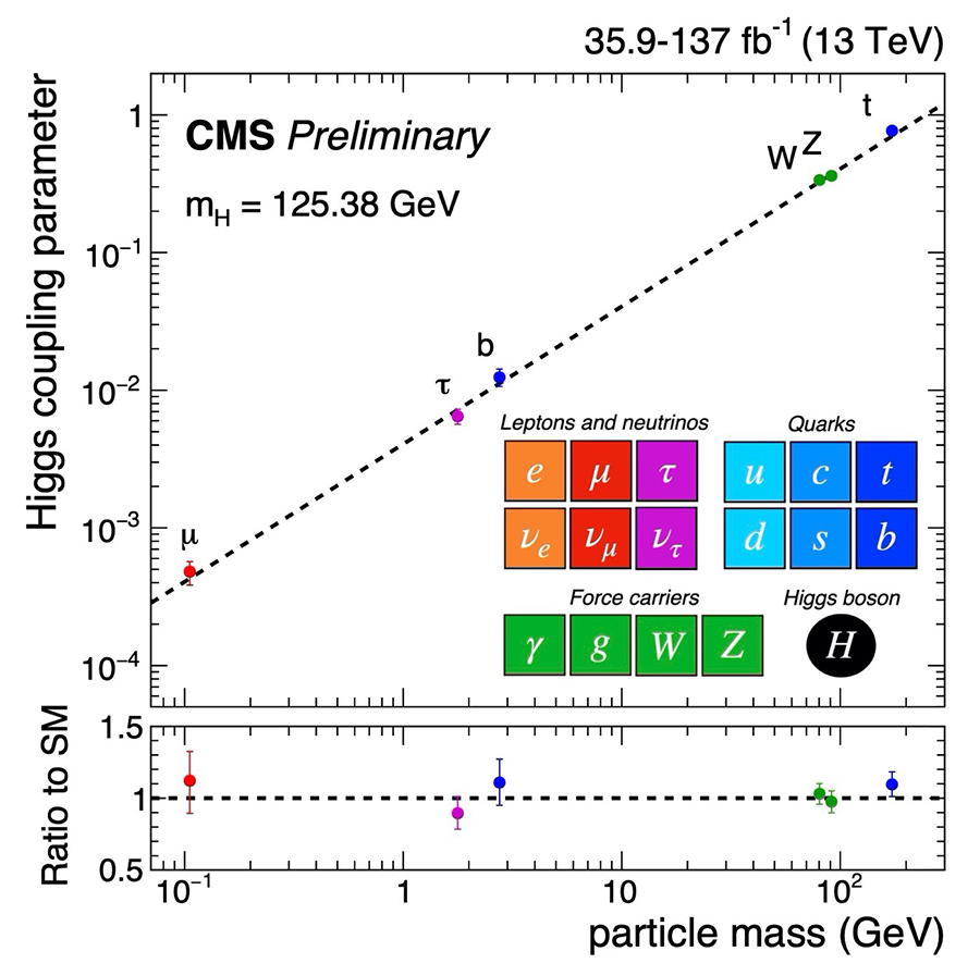 Mass of elementary particles and the strength of their interaction with the Higgs field.