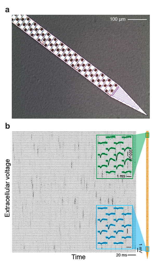 Figure 2. The Current State-of-the-Art Rigid Probe.