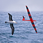 Physicists Train Robotic Gliders to Soar like Birds