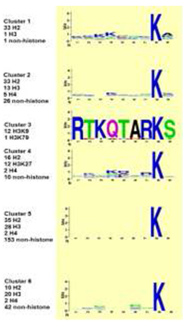 Image: No significant sequence motif was observed in the sequences for each peptide cluster.