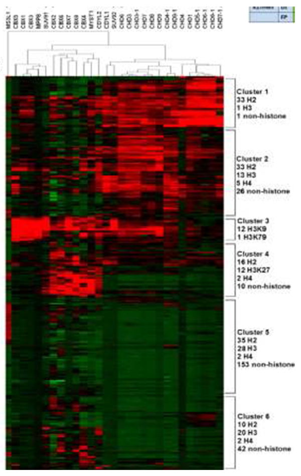 Chromodomain-peptide binding intensities on the microarray (shown as z scores; red, binding; green, nonbinding).