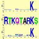 Scientists Extend Mechanism for Cracking Biochemical Code