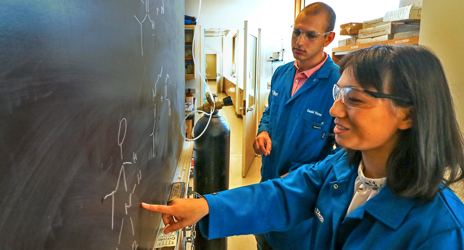 Graduate and undergraduate students work together in Valerie Schmidt’s lab. Photo by Michelle Fredricks