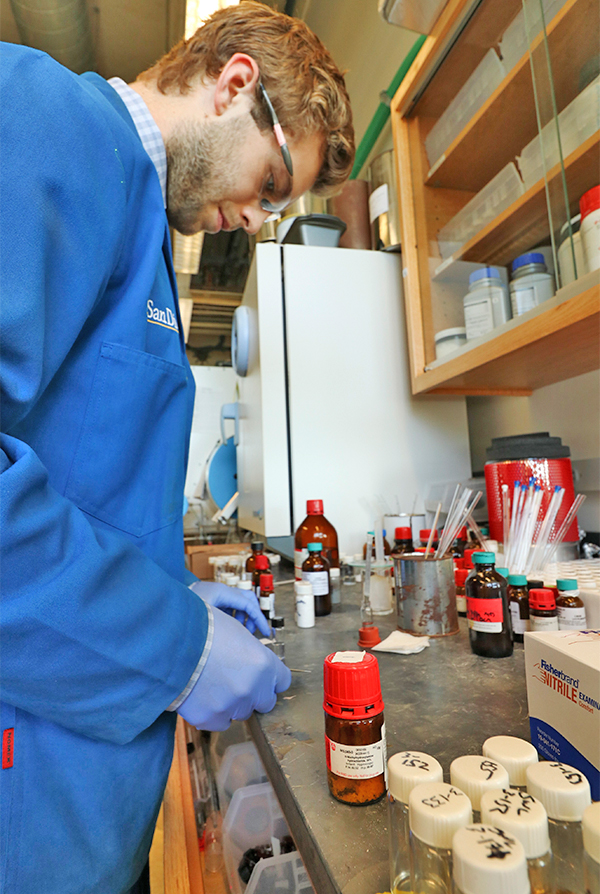 Graduate student Sam Lardy at work in the Schmidt Group lab. Photo by Michelle Fredricks