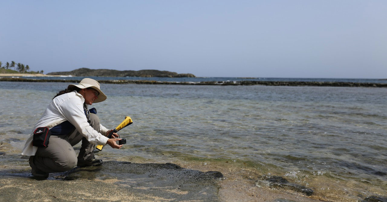 Isabel Rivera-Collazo taking coastal measurements