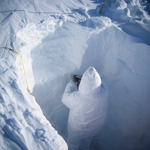 Clues to Climate Cycles Dug from South Pole Snow Pit