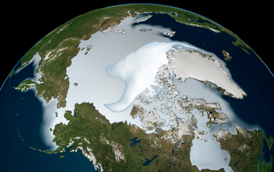 Satellite Data Reveal Rapid Darkening of the Arctic