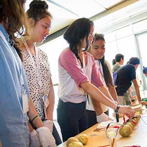 UC San Diego Summer Programs Introduce College Life to Prospective and Incoming Students