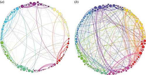 two connectograms. One shows normal communication and the other intercommunity communication after psilocybin