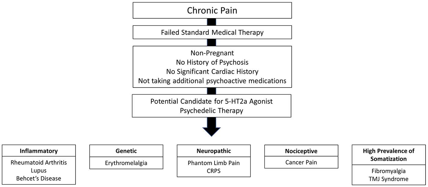 screening process for study of psychedelics. Chronic pain, failed standard medical therapy, no risk of complications