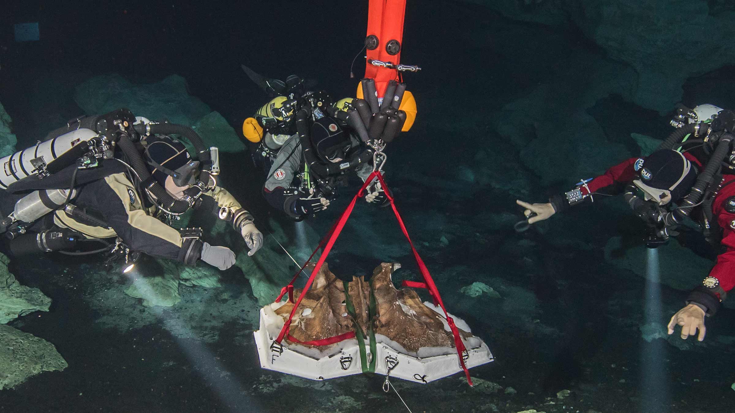 cave divers with giant sloth pelvis