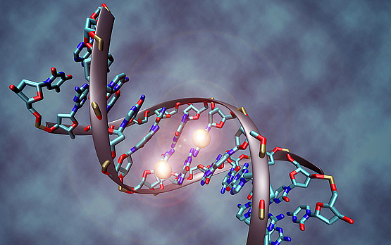 Epigenetics Alters Genes in Rheumatoid Arthritis