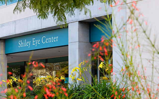 Newly Named Shiley Eye Institute Projects Bigger, Bolder Vision