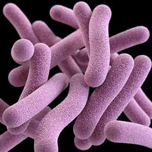 Rapid Testing for TB Aims to Reduce Drug Resistance, Lower Mortality Rate