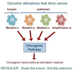 New Computer Program Can Help Uncover Hidden Genomic Alterations that Drive Cancers