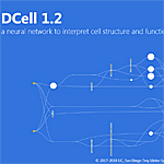 How a Yeast Cell Helps Crack Open the “Black Box” Behind Artificial Intelligence