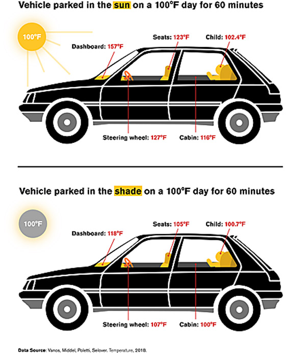 infograph