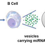 New Cancer Immunotherapy Approach Turns Immune Cells into Tiny Anti-Tumor Drug Factories