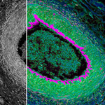 UC San Diego School of Medicine and Leica Establish Center of Excellence in Microscopy