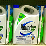 It’s in the Weeds: Herbicide Linked to Human Liver Disease