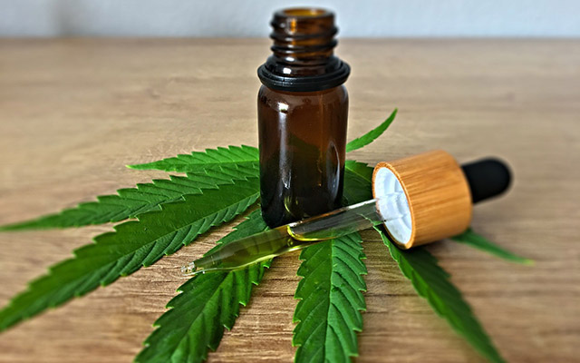 What is a 2025 cbd clinical trial