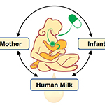 Do a Mom’s Medications Affect Her Breast Milk and Baby? New Center Investigates