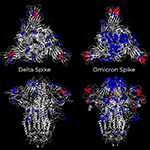 First Case of Community Acquired Omicron Variant in San Diego