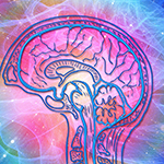 Brain Ripples May Help Bind Information across the Human Cortex