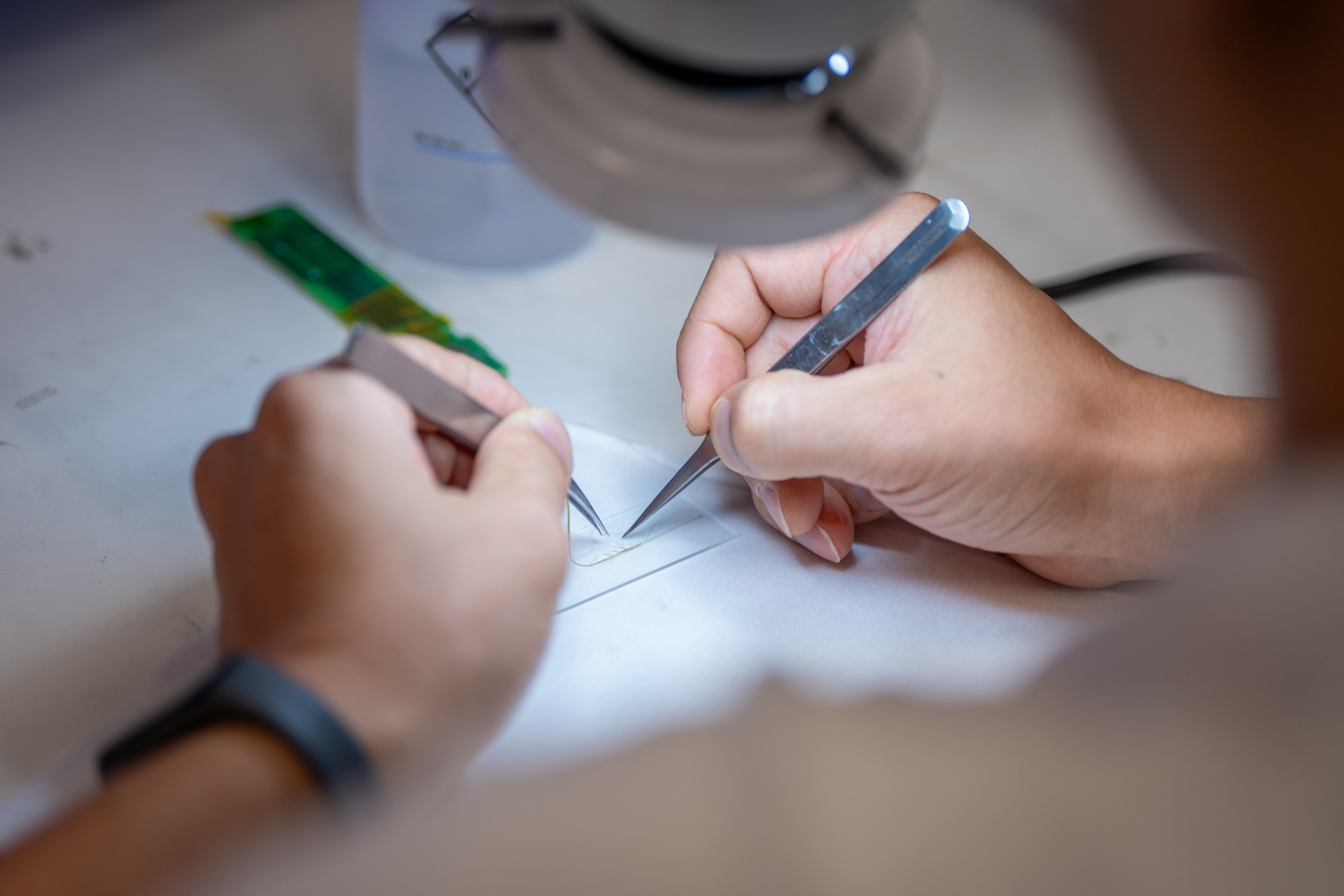 Close-up of hands assembling a computer chip
