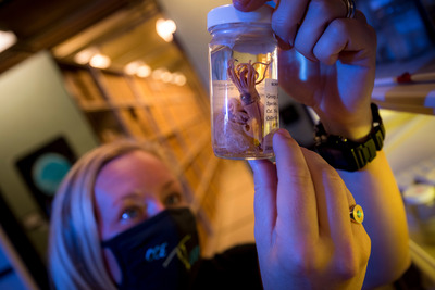 Researcher at Scripps Oceanographic Collections.