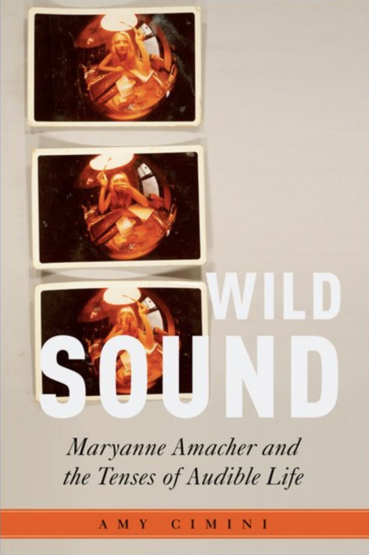 Wild Sound book cover