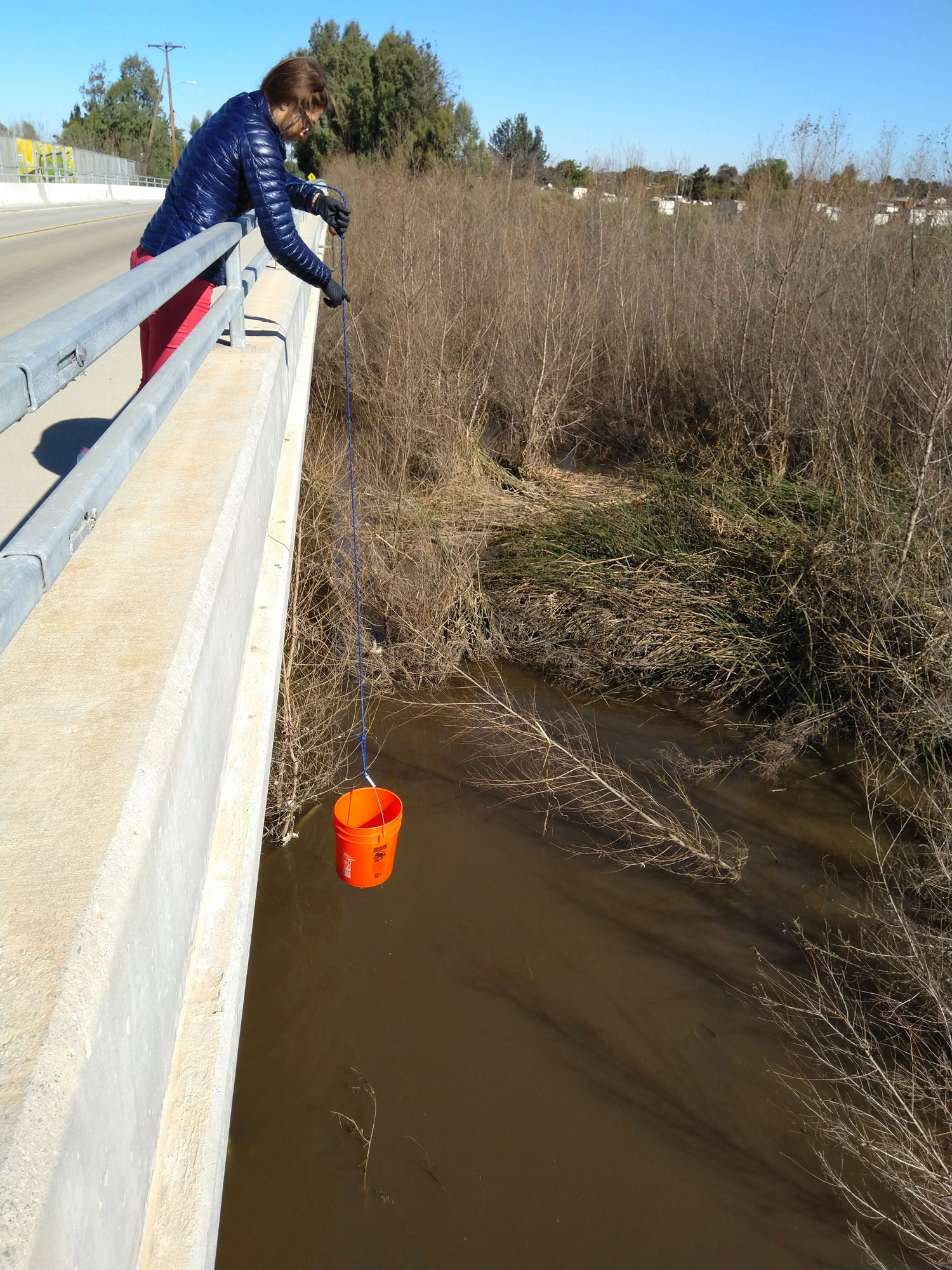 Study co-author Allegra Aron collects water from Tijuana River. Photo: Matthew Pendergraft