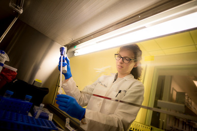 A researcher gets hands-on experience in the laboratory of microbiologist Rachel Dutton, an assistant professor in the Division of Biological Sciences. Photo by Erik Jepsen/University Communications.