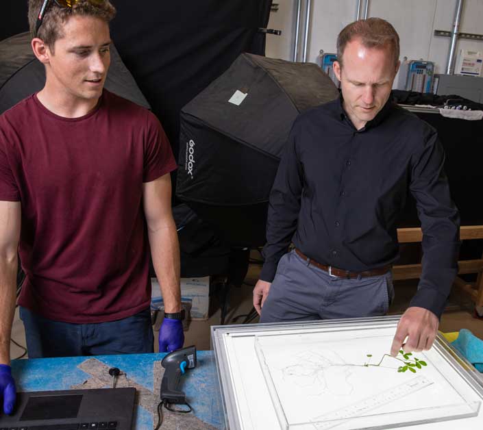 Co-author Wolfgang Busch (right) and Salk Project Manager Shane Hunt examine alfalfa root architecture. Photo: Salk Institute