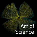 UC San Diego Library Set to Host 2nd Annual Art of Science Contest