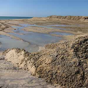 Beach Replenishment May Have ‘Far Reaching’ Impacts on Ecosystems