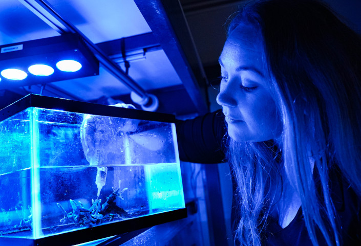 Beverly French uses syringe to take tissue sample from coral