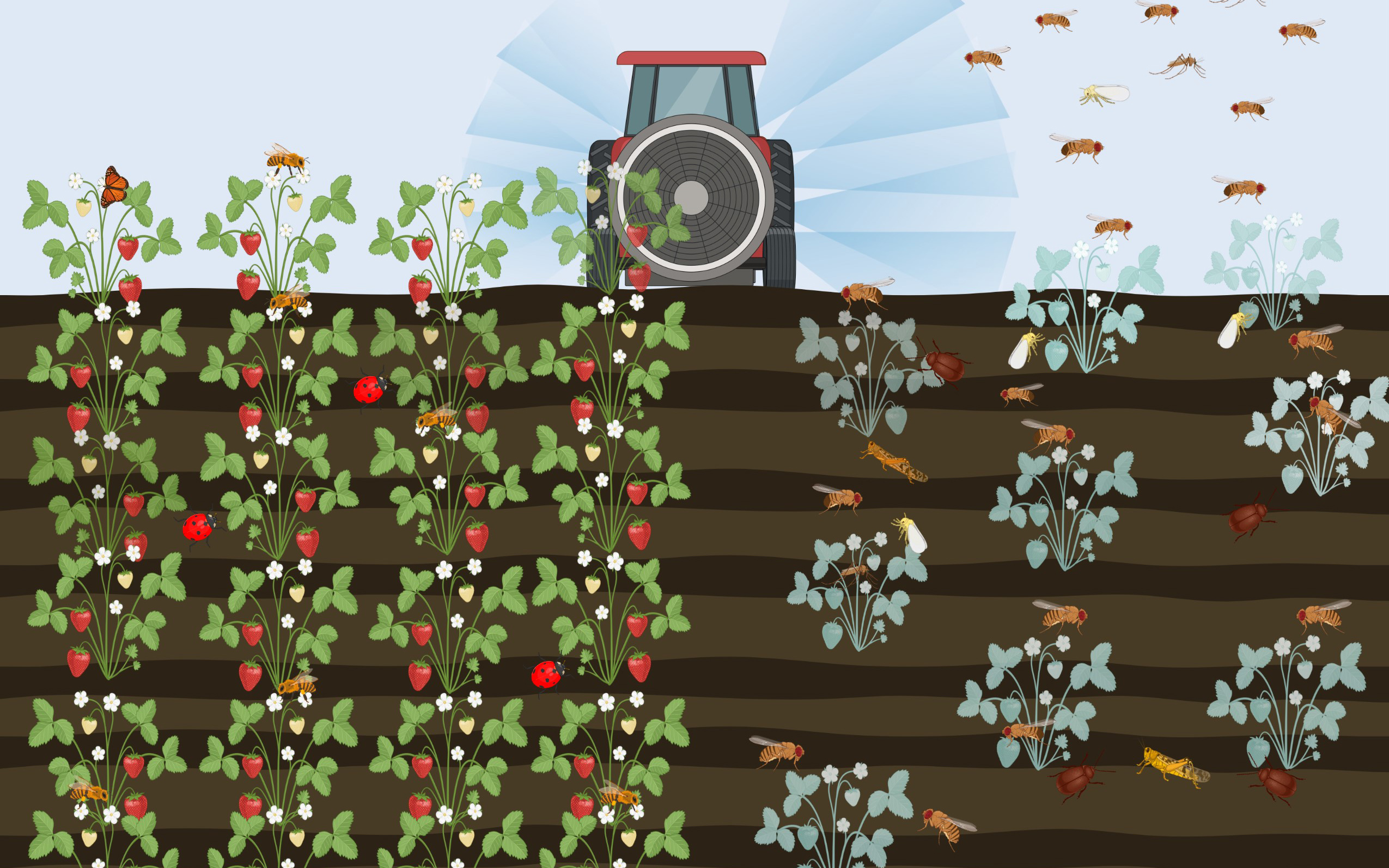 What causes insecticide resistance?