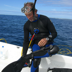 Prominent Marine Ecologist to Receive Prestigious Cody Award from Scripps