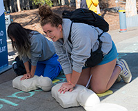Two women practice chest compressions on CPR dummies.