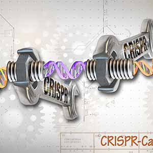 RNA-Based Drugs Give More Control Over Gene Editing