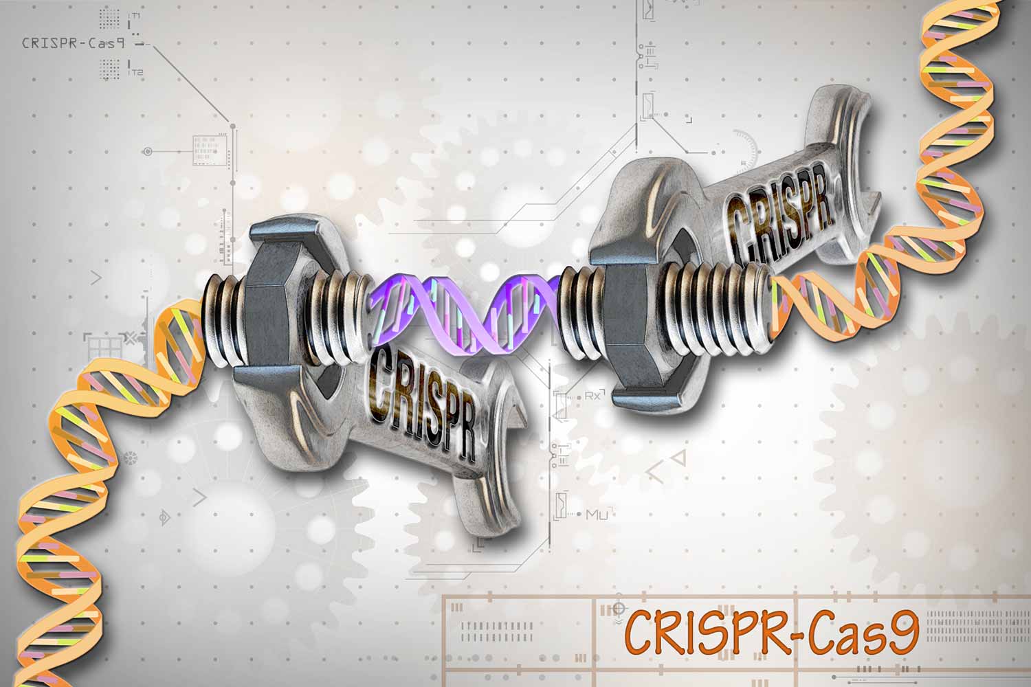 Image: CRISPR/Cas9