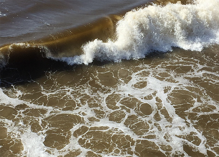A daytime view of a ruddy-hued wave during a red tide event.