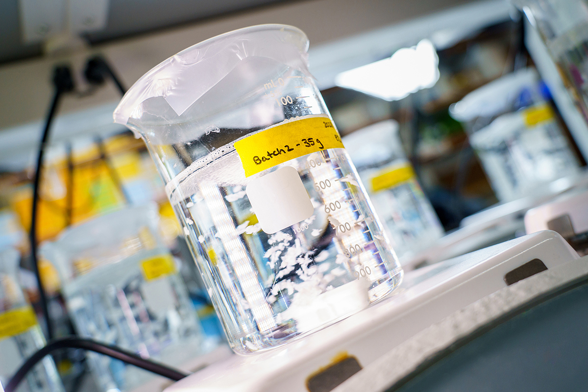 A beaker with tissue being spun 