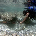 Archaeologists Investigate Past Impact of Sea-Level Changes at Israeli Coastal Sites