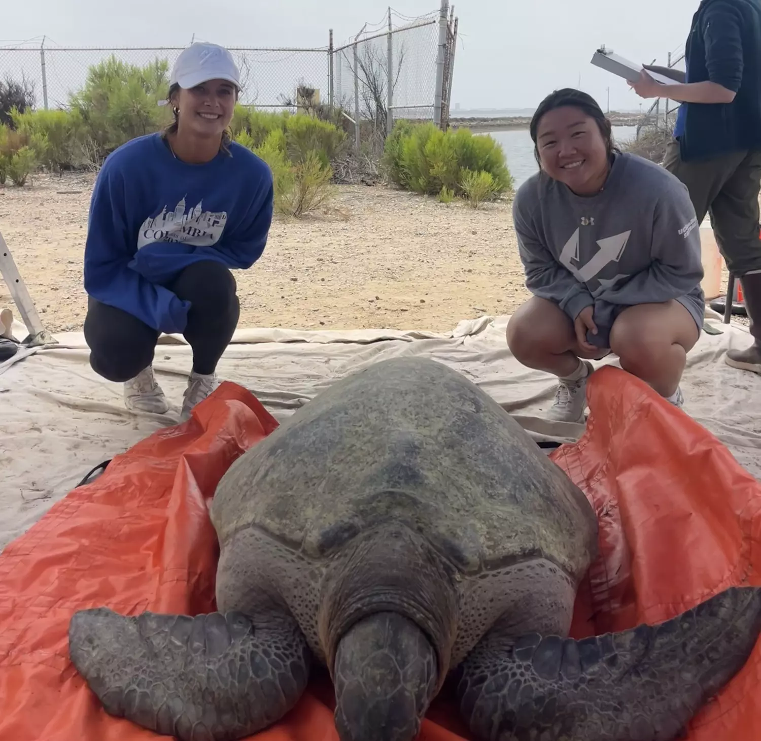 Elise Nishimura and teammate pose with sea turtle.