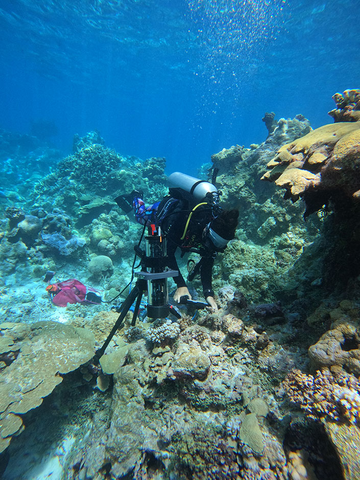 A diver studies coral reefs underwater using a high-tech microscope.
