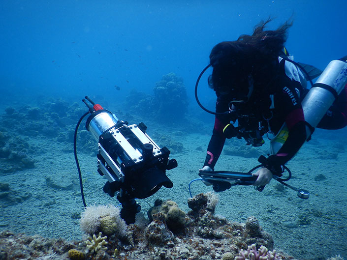 A diver operates a microscope underwater.